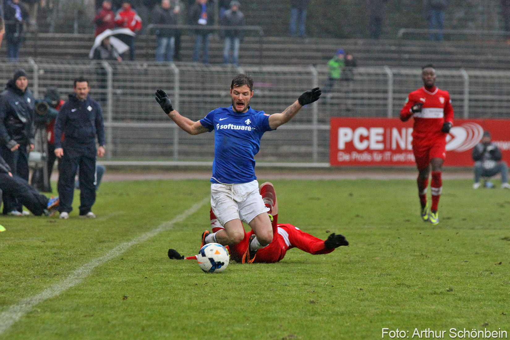 Bist Du Lilien-Experte? Lilienblog-Quiz-Auflösung