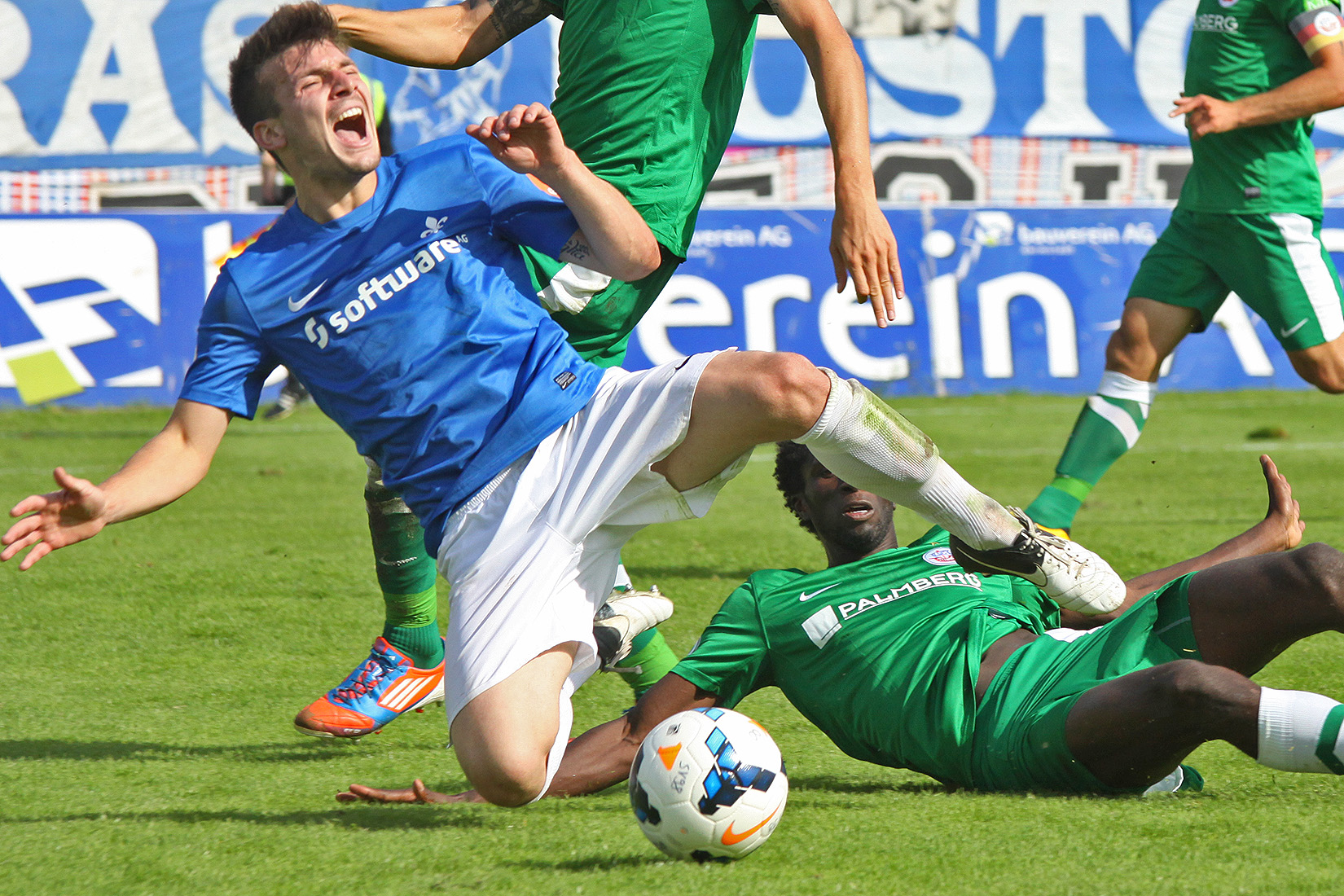 Lilienblog-Quiz II – die Auflösung