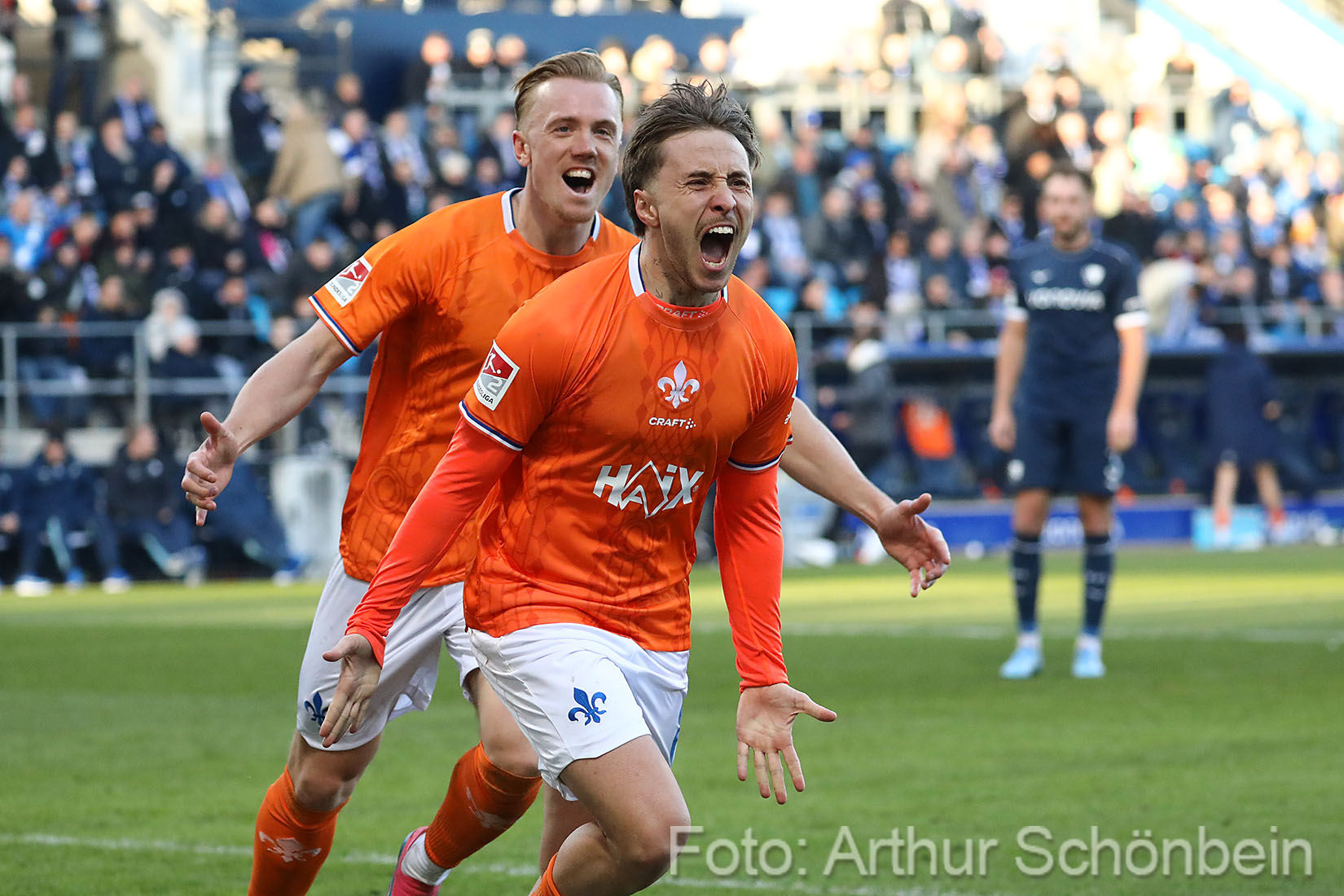 Das Lilien-Foto des Monats Januar