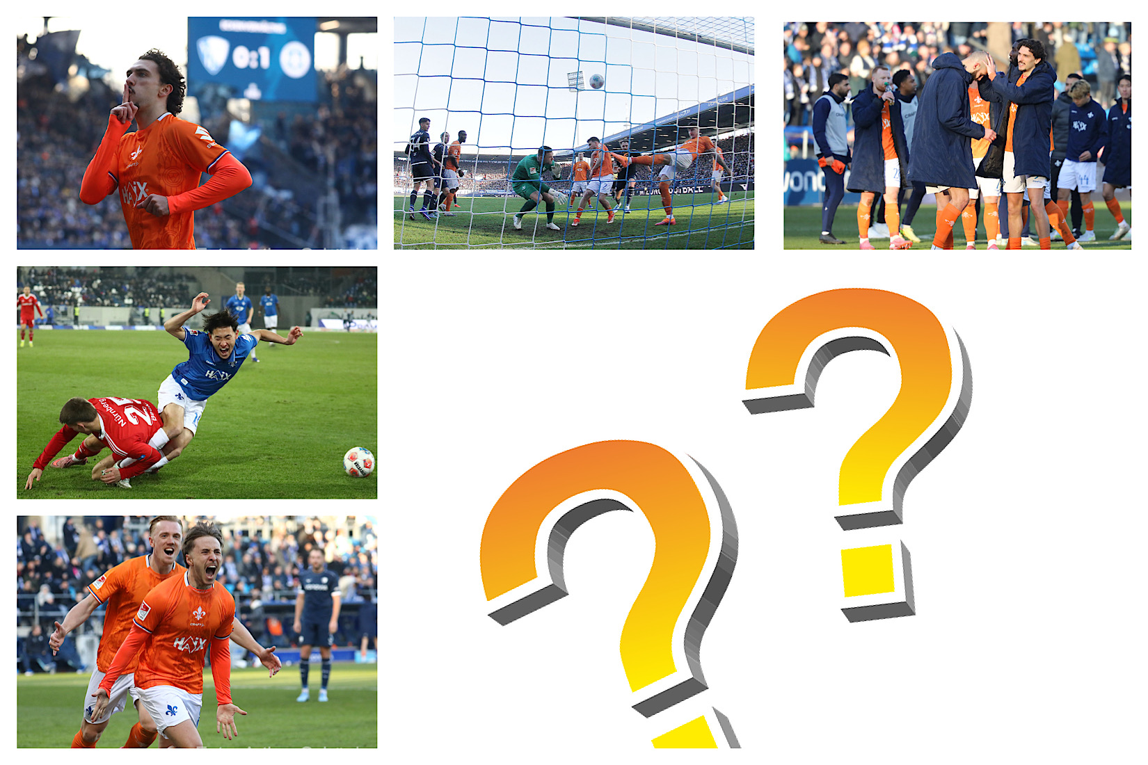 Neu: Wählt das Lilien-Foto des Monats Januar