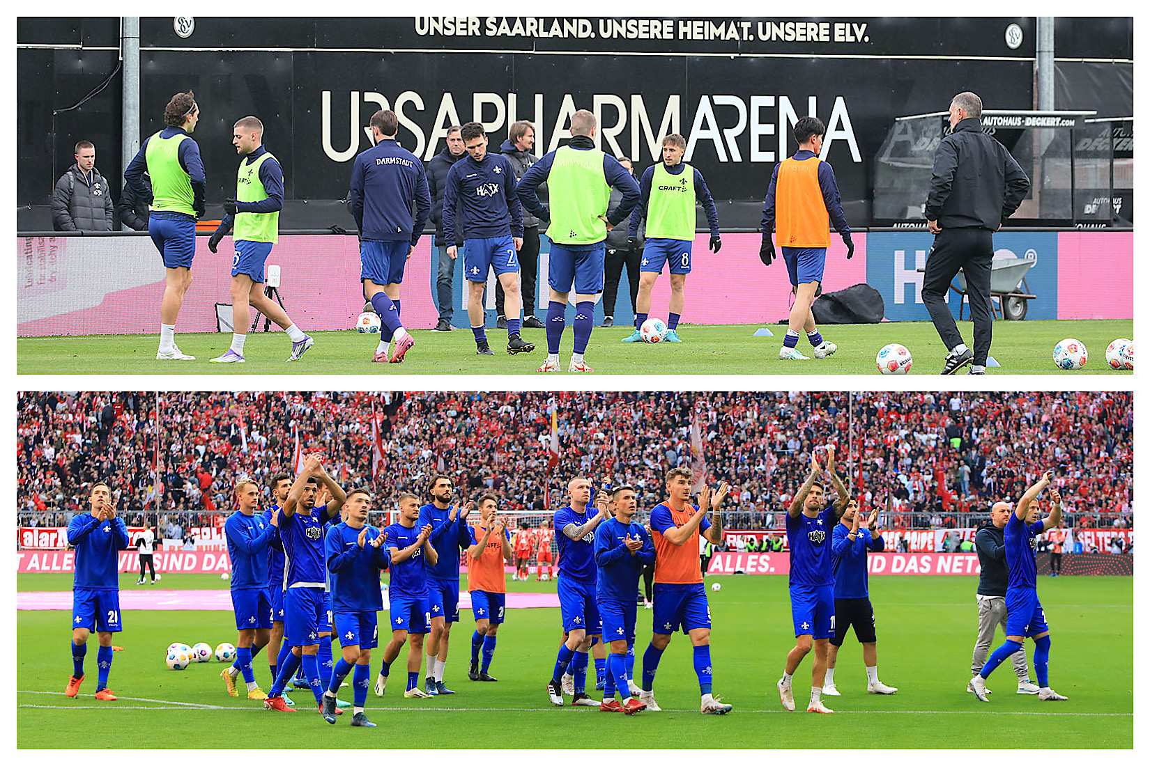 Mittwochsfrage: Sollen die Lilien überhaupt aufsteigen?