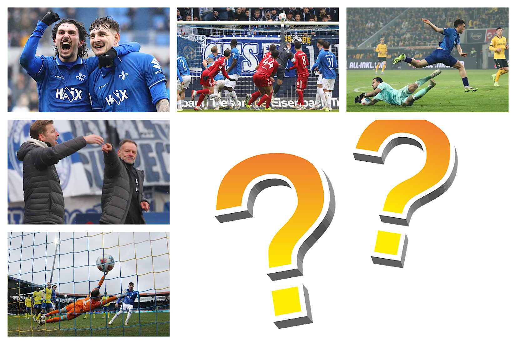 Wählt das Lilien-Foto des Monats Februar