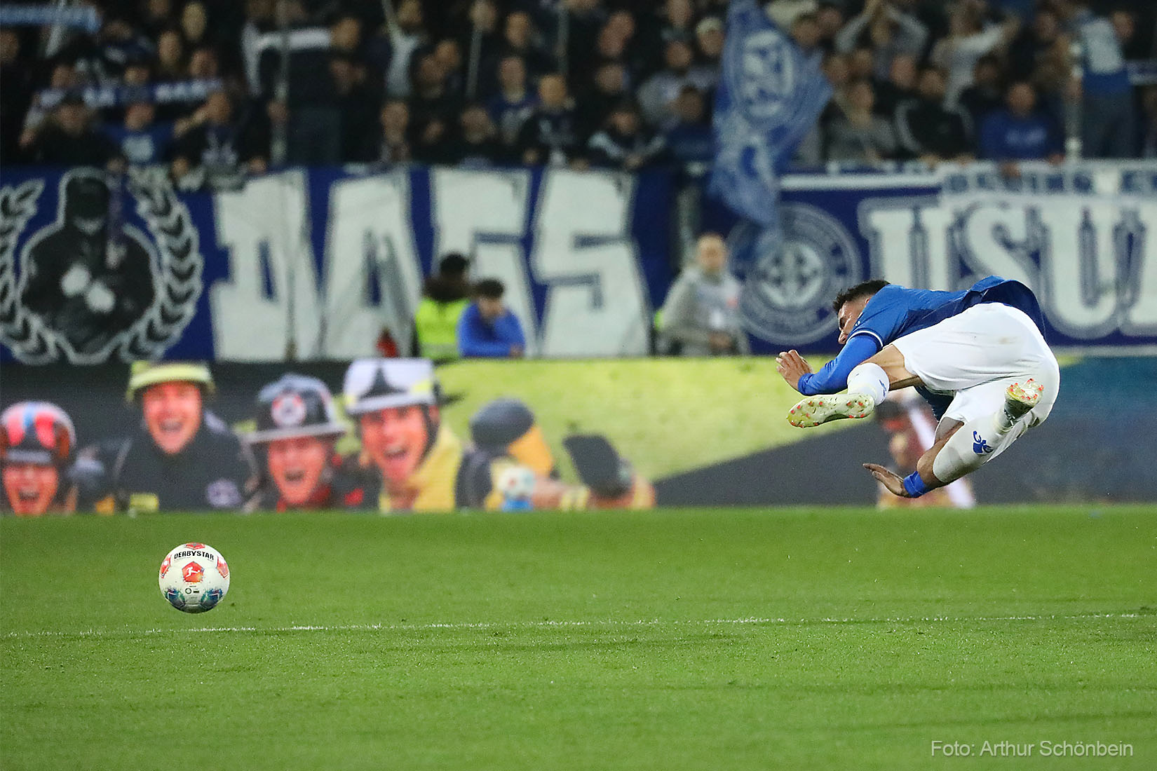 Das Lilien-Foto des Monats März