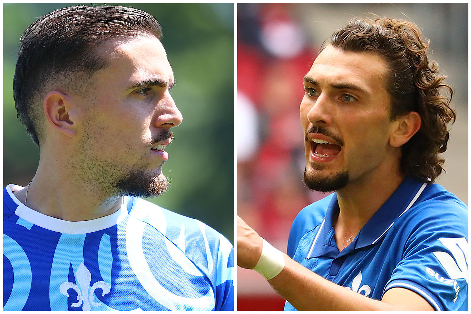 Duijvestijn vs. Hornby – der Vergleich