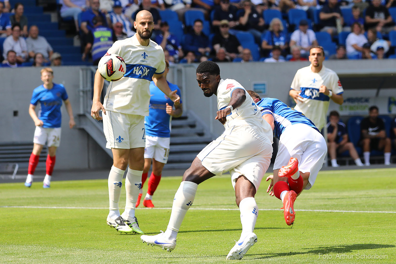 Der große Lilien-Check (Teil 1): Die Vorbereitung